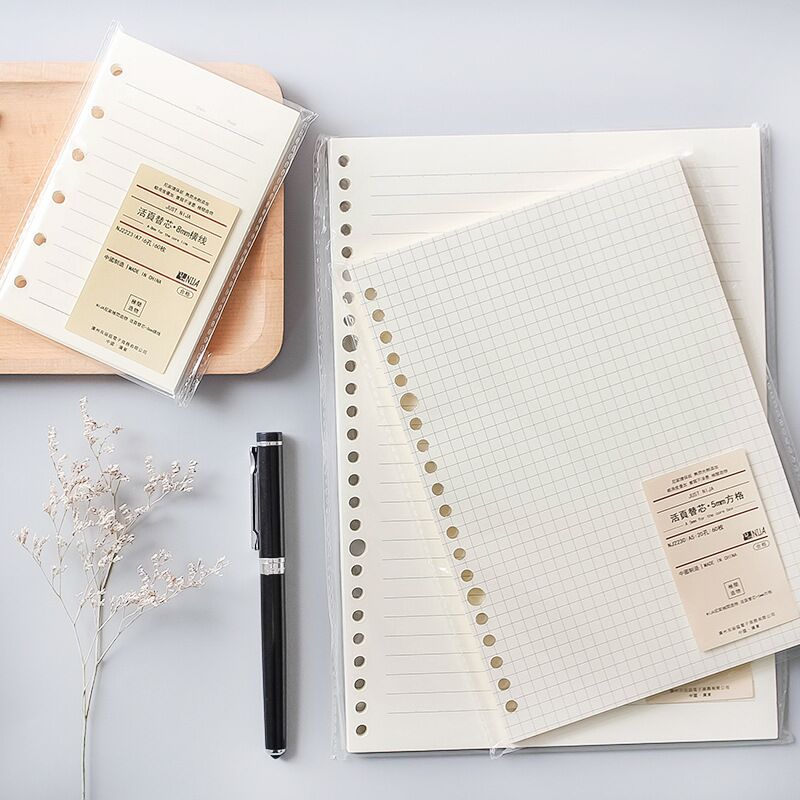 Grille de ligne A5 B5, 20 trou - Notebook Dotted A5 avis et prix